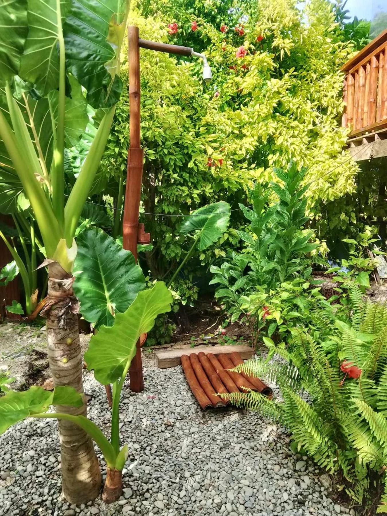 Coleto Siargao Bed & Breakfast San Isidro  Екстериор снимка
